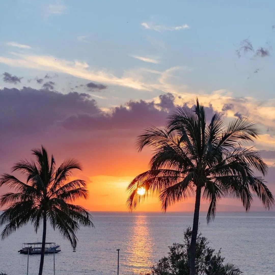 Paradise Palms Tangalooma Australia